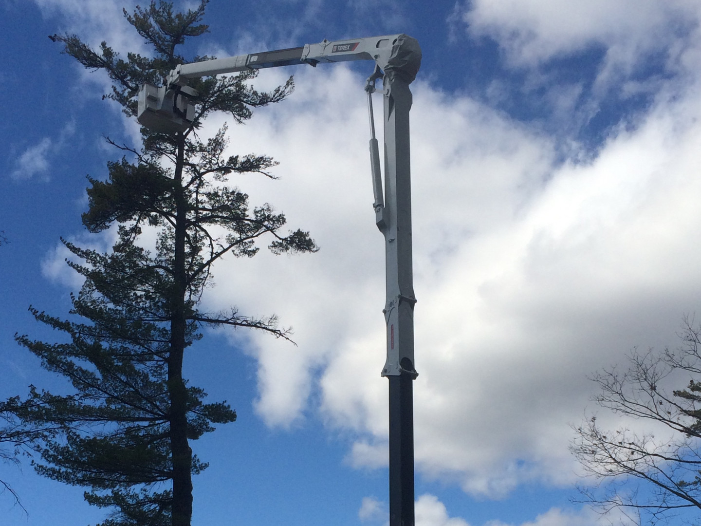 Land Clearing, Tree Trimming & Hauling Fryeburg, Bridgton & state of Maine Micklon Tree