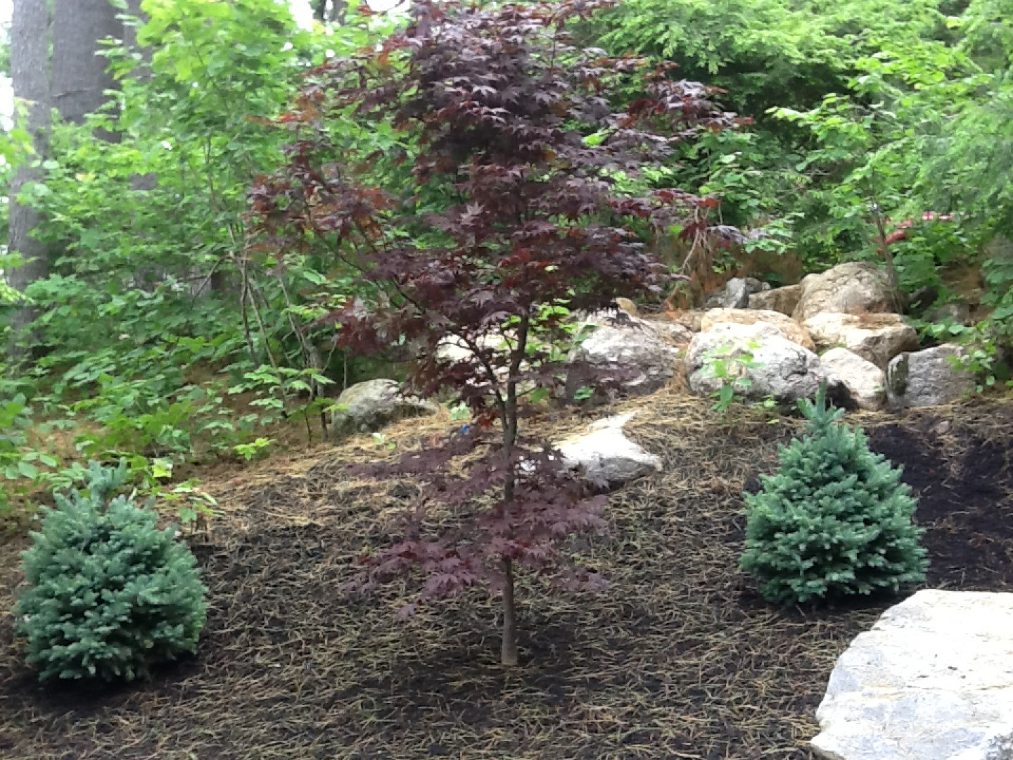 Our Landscapers Fryeburg, Bridgton & state of Maine Micklon Tree Service & Landscaping