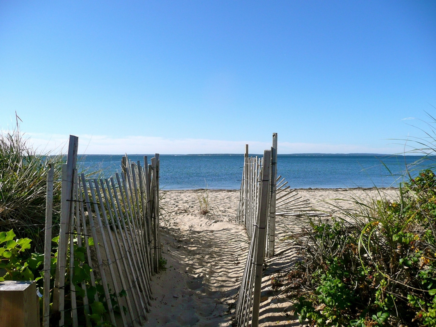 Shoreline Erosion Control Fryeburg, Bridgton & state of Maine Micklon Tree Service & Landscaping